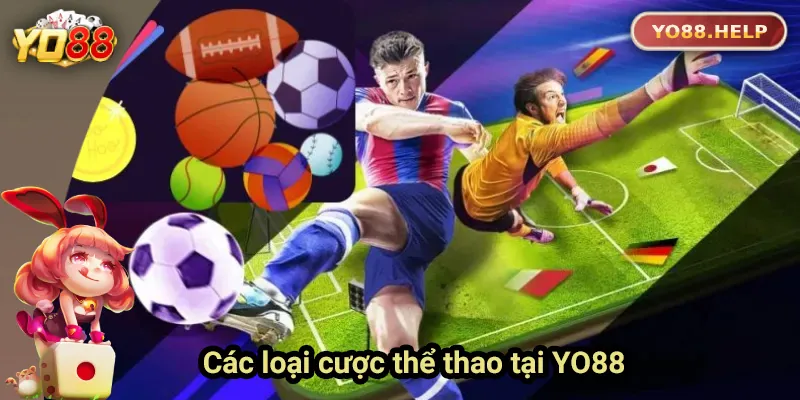 Giới thiệu các loại cược phổ biến tại thể thao Yo88